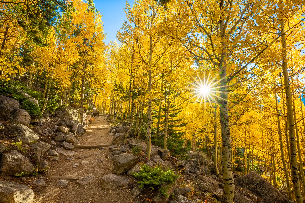Bear Lake Trail Fall Aspens Sunburst on Rocky Mountain National Park Tour